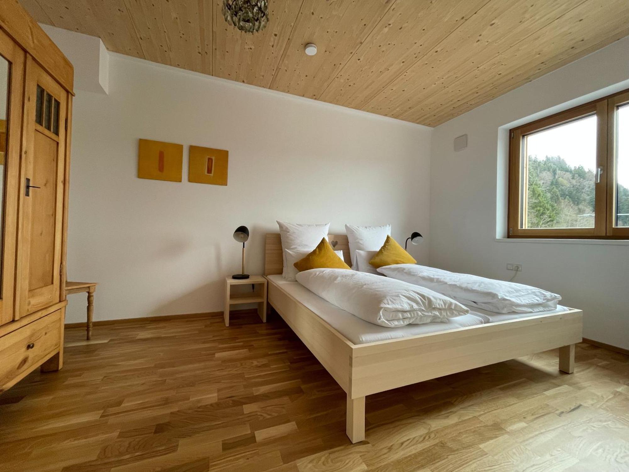 Gamsfels Josephine Galeriewohnung Langen Bei Bregenz Экстерьер фото